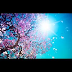 Meet your Posher, Kaleigh